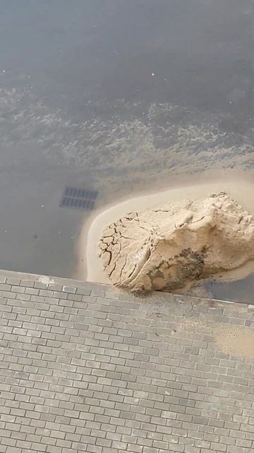 стяжка за один день смотреть онлайн