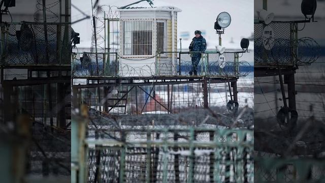 Виктор Петлюра и Анна Воробей *Голуби * смотреть онлайн