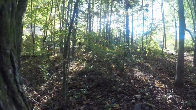 GoPro Hero 5 Black vs Hero 3+ смотреть онлайн