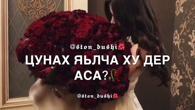 Веза велла цхьа к1ант суна смотреть онлайн