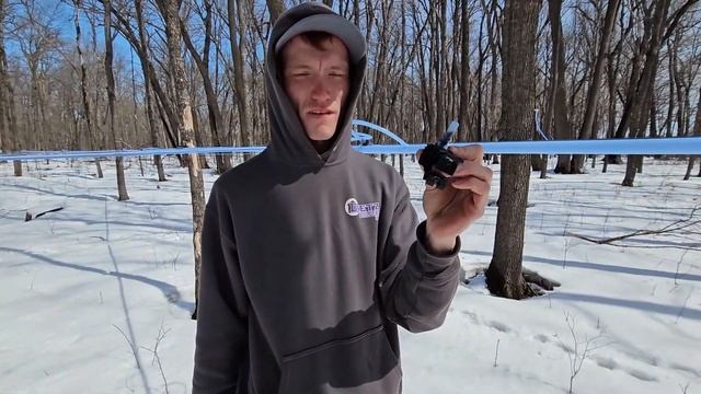 Touring a sugar bush: Sap to syrup смотреть онлайн