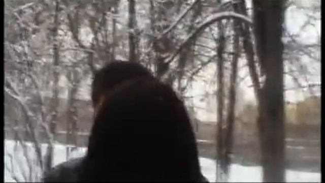 Dj Miran - Ayraliq | Дж Миран - Айралық (ARXIV KLIPLER)
