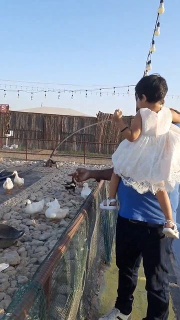 #fivelittleduck#shorts#subscribe#sweedusworld смотреть онлайн