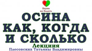 ОСИНА КОРА  -||-  ЭФФЕКТИВНЫЙ ПРИЁМ ОСИНЫ -||- Польза и Вред коры Осины