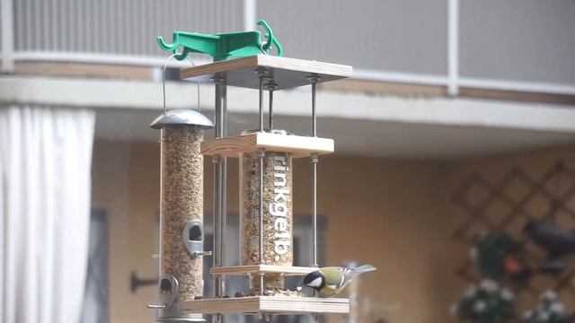 Vögel füttern: Wie eine Vogelfutterstation auf dem Balkon hilft смотреть онлайн