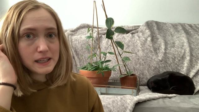 Hoya or Wax Plant Care Tips & Other Rambles смотреть онлайн