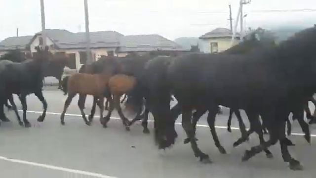 Кфх Атажукино(3) смотреть онлайн