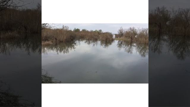 Ловля карася в камышах. смотреть онлайн