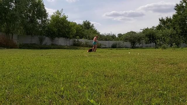 Он-лайн соревнования по Ралли-обидиенс смотреть онлайн