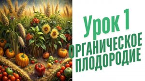 Природное земледелие на садовом участке.