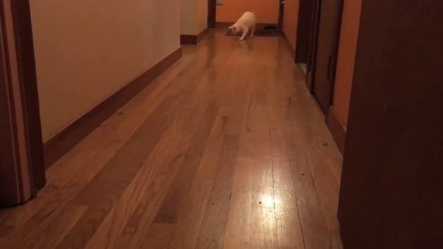 Freya Fetching смотреть онлайн