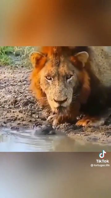 26 февраля 2023 г.