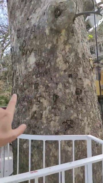 Родник в Алании | Чистая и полезная вода в Турции Аланья смотреть онлайн