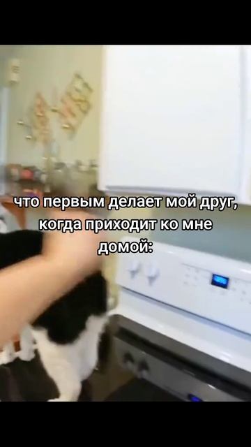 22-03-2025 смотреть онлайн