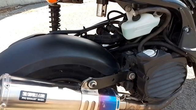 Hond Bite внедорожник