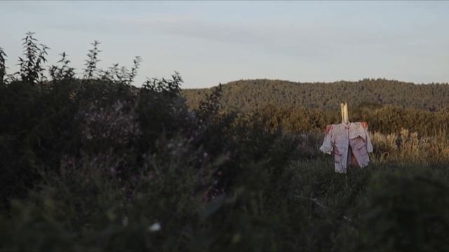 SEPTEMBER / Canon EOS RP EF 24-105 F4 L / Short VIDEO смотреть онлайн