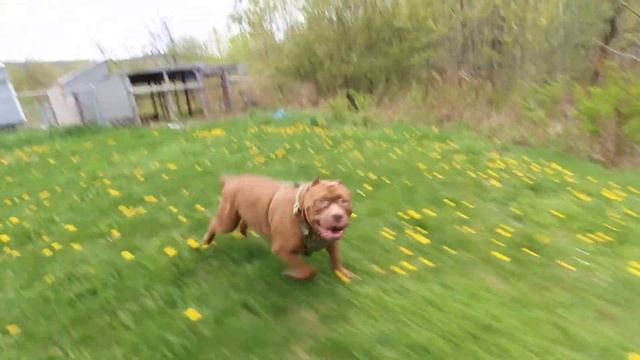 A slow day at the ranch...then this happen смотреть онлайн