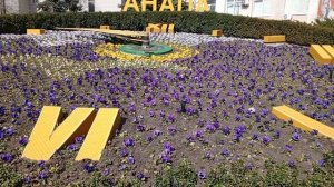 Часы клумба