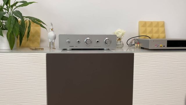 SUGDEN A21SE 🤤 My Experience In A Nutshell