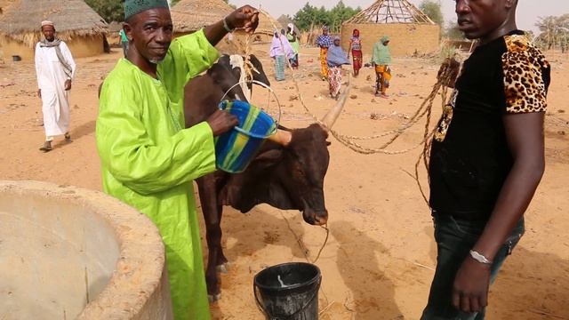 N°185 Niger смотреть онлайн