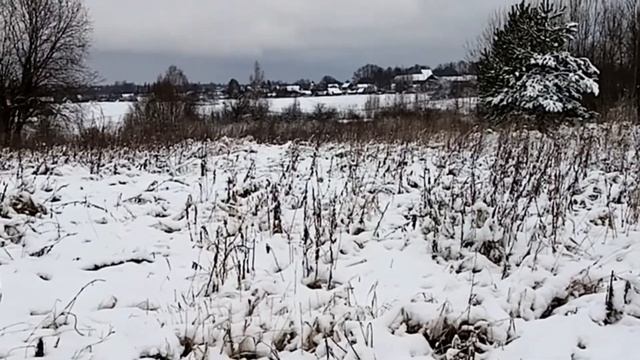 Зима снежком порадовала к Новому году!