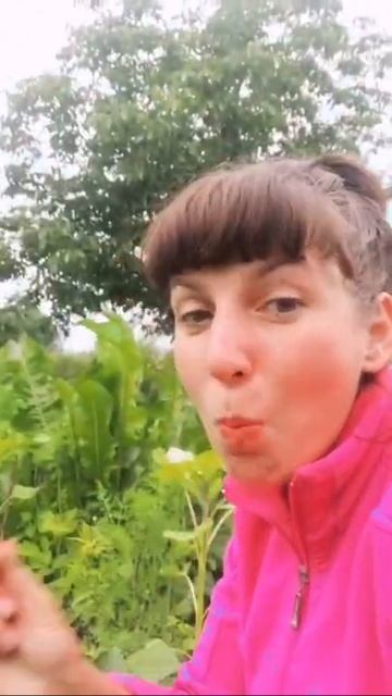 Собираем урожай клубники, дело непростое смотреть онлайн
