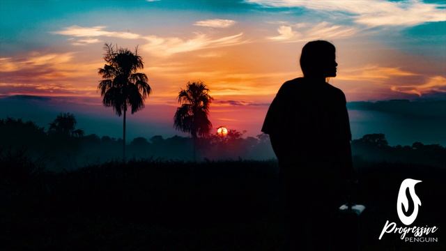 STNK - Coill (Skyhunter Remix) смотреть онлайн