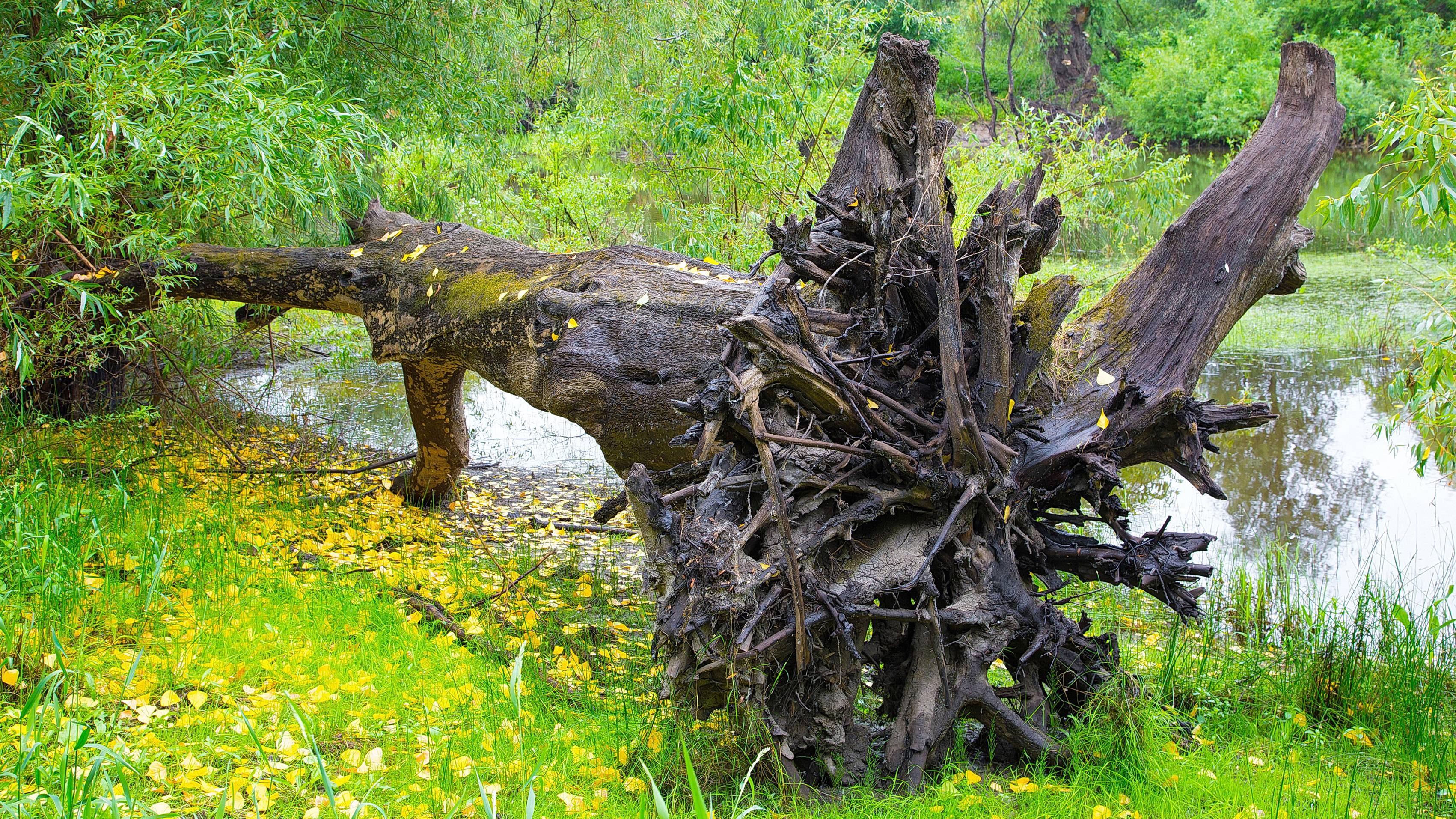 Поездка удалась ! Попали на выход хищника ! "Повалихинская" протока. смотреть онлайн