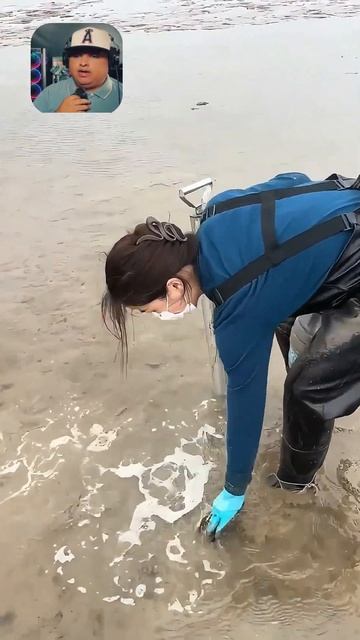 Que buena habilidad para capturar camarones mantis  #shortsfeed  #shortsviral  #humor
