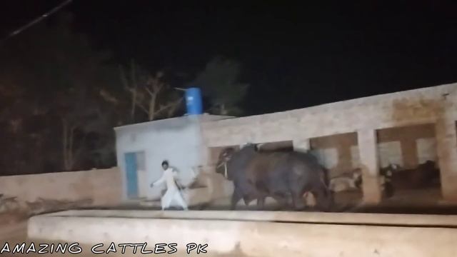 Hashim K Deray Par Farhan Bhai Ka 1 Crore 5 Lakh K Bachray Ka Soda ? | Karachi To Multan Epi - 6