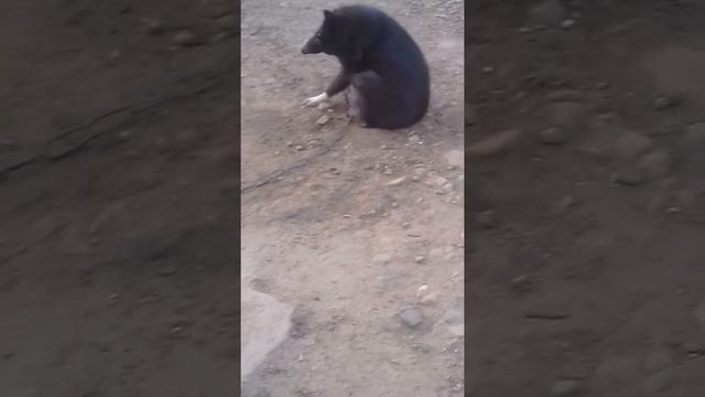 Маша беременная смотреть онлайн