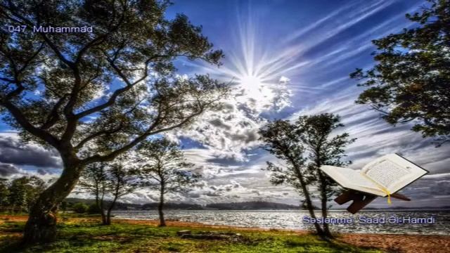 047. Сура Мухаммад Прекрасное чтение Корана Чтец: Саадом Аль Гамиди смотреть онлайн