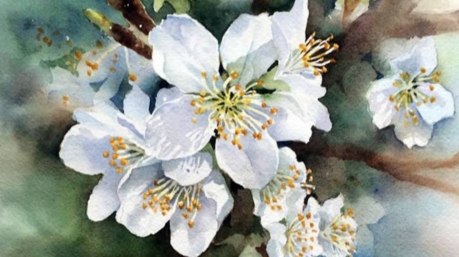 ВЕСЫ. 💎✨🎀 Ваш таро-прогноз на апрель 2025 года. ⭐⭐⭐ Ретроградные Меркурий и Венера. смотреть онлайн