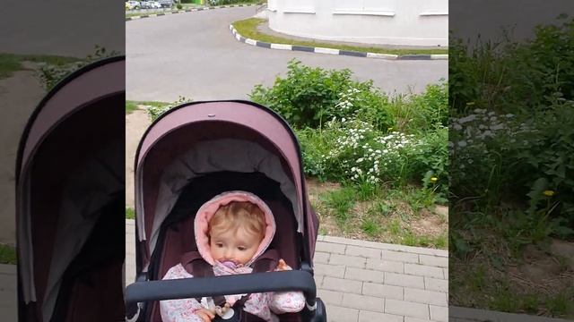 2021.05.26 #экология Москва Куркино вывоз мусора оператор по СЗАО Спецтранс смотреть онлайн