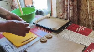 Овсяное печенье,обед со свекровью,накидала снег в теплицу.