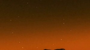 Rebzyyx - All I Want Is You - 1 hour lyrics ft. Hostie Star