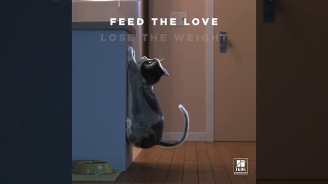 מוטו - סיפור אהבה קצר :Hill's Pet Nutrition смотреть онлайн