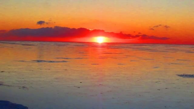 Залив Терпения. Утро. 2 марта 2025 г