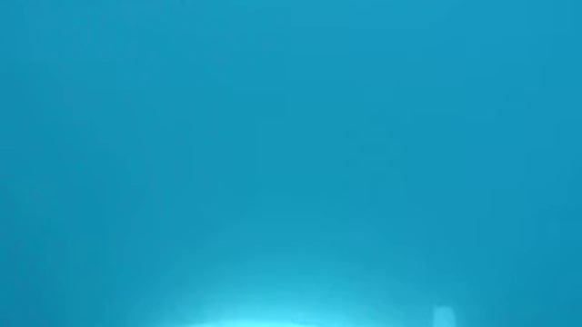 Fetch Diving in Antarctica смотреть онлайн