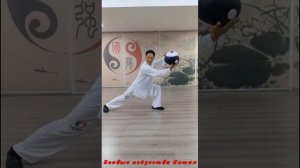 Техника тайцзи с мячом