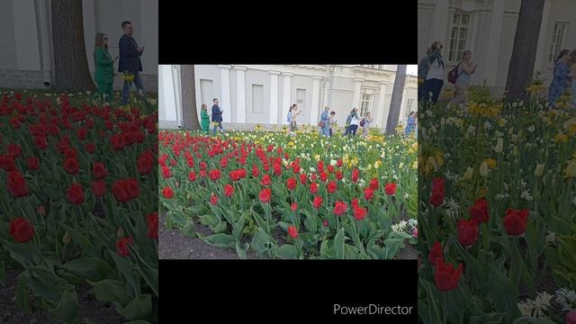 Пиратская жизнь Нина и Вовчик - МСТИТ мужу за СВОЙ вес 7САМА себе доктор / мой рацион 4-й день