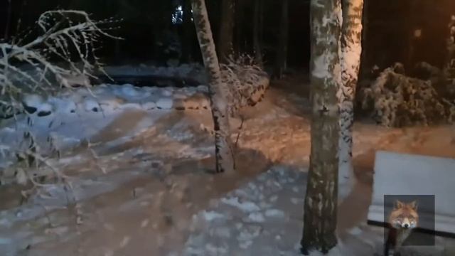 Алиса Лиса -Alice the Fox (Что За Настроение) смотреть онлайн