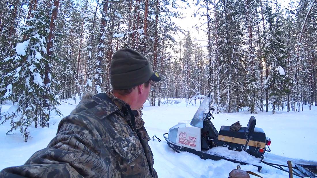 Сбор чаги в новом месте. Как всегда начало не очень, но в конце повезло! 10.01.25 смотреть онлайн