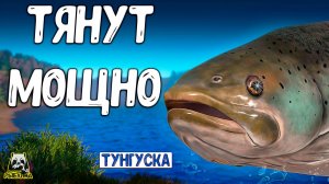 RF4 ТЯНУТ МОЩНО БЫСТРО И ДЕРЗКО И ВОТ ЧТО ВЫШЛО ИЗ ЭТОГО #рр4