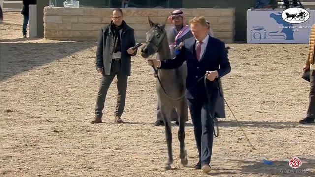 N 35 LEEN AL HILALIYA Kuwait Egyptian Event 2022 Yearling Fillies Class 1C смотреть онлайн