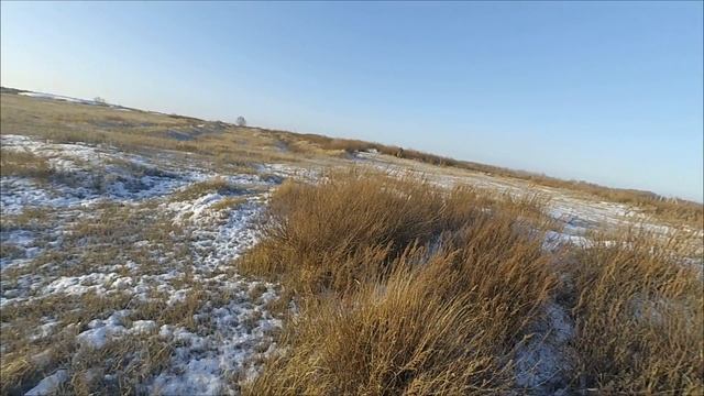 Охота на зайца 2020 . Охота загоном смотреть онлайн