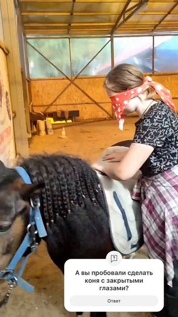 Как поседлать коня с закрытыми глазами? #horse #equestrian #конь #лошади #животные #юмор #pony #пон смотреть онлайн