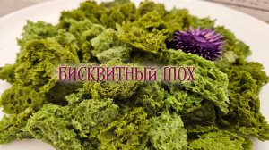БИСКВИТНЫЙ МОХ или БИСКВИТ СПОНЖ | Простой декор