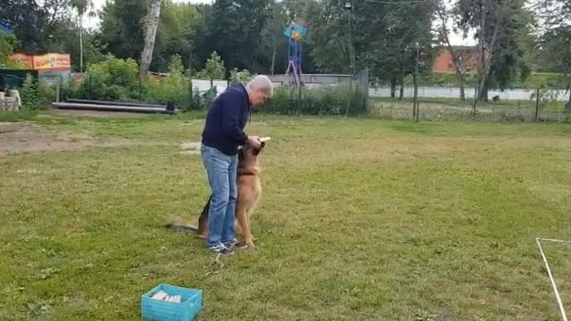 Дима и Тайсон выборка смотреть онлайн
