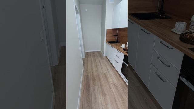 1+ смотреть онлайн